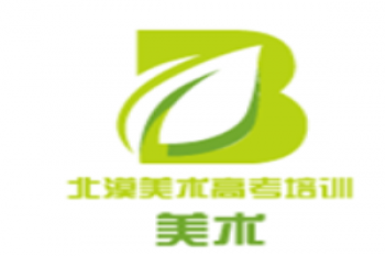 北漠美术高考教育