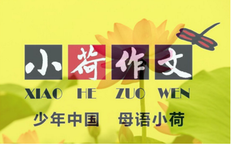 苏州小荷作文加盟