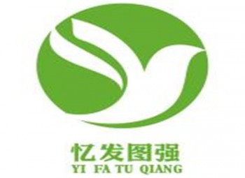 忆发图强全脑开发