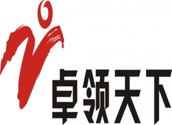 卓领天下全脑开发