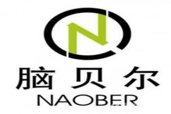脑贝尔全脑开发