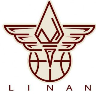 李楠篮球训练营