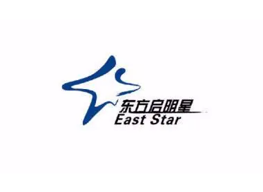 东方启明星培训
