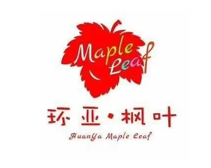 环亚枫叶艺术教育