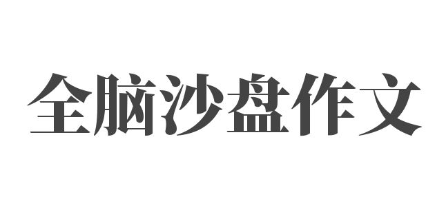 全脑沙盘作文