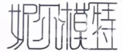 妮尔模特