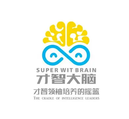 才智大脑教育