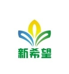 新希望美术教育