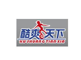 酷爽天下电动独轮车