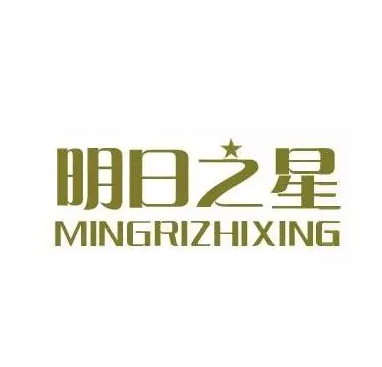 明日之星创新作文