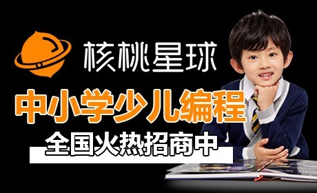 核桃星球少儿编程