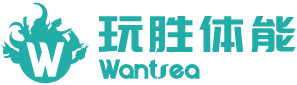 玩胜体能