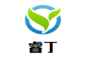 睿丁少儿编程