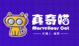 真奇喵机器人编程