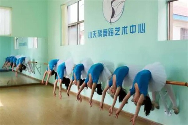 三线城市加盟小天鹅艺术培训多少钱？
