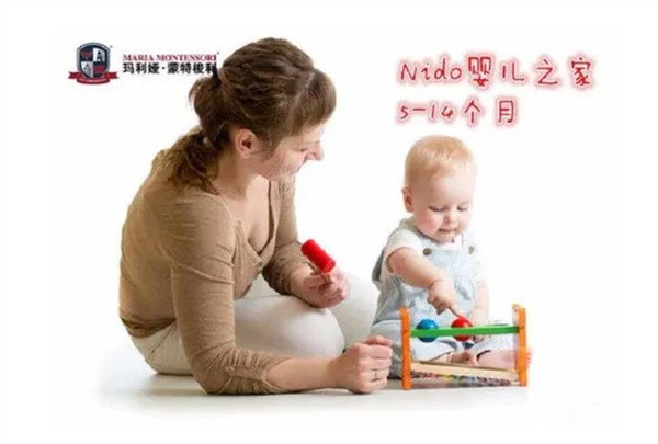 玛丽亚蒙特梭加盟费要多少?