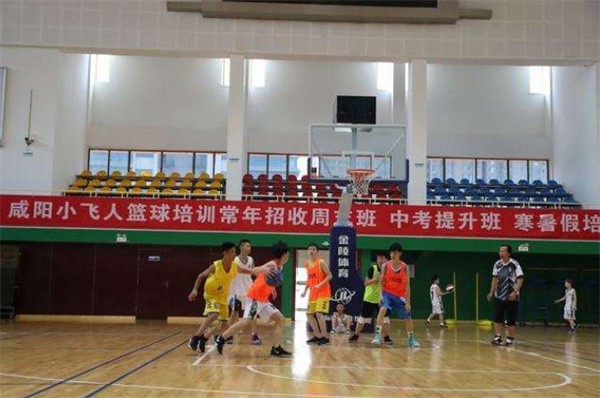 广厦小飞人篮球俱乐部加盟费是多少?