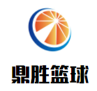 鼎胜青少年篮球训练营