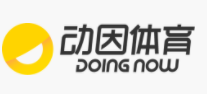 动因篮球