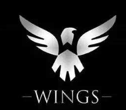 WINGS韦筃斯篮球俱乐部