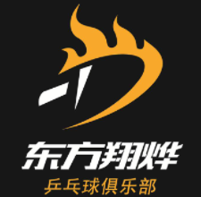 东方翔烨乒乓球教育
