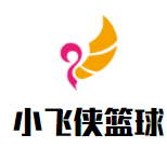 小飞侠篮球