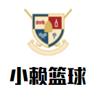 小赖篮球训练营