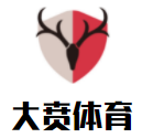大贲体育篮球培训