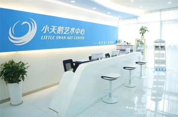 小天鹅艺术培训加盟费是多少？
