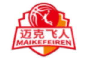 迈克飞人篮球