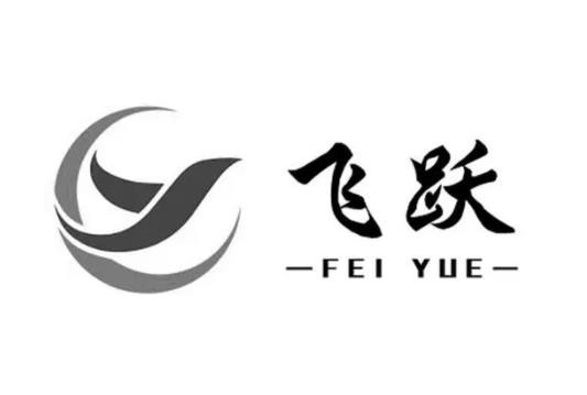 飞跃少儿体适能