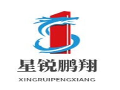 星锐鹏翔篮球培训