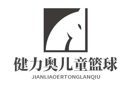 健力奥儿童篮球
