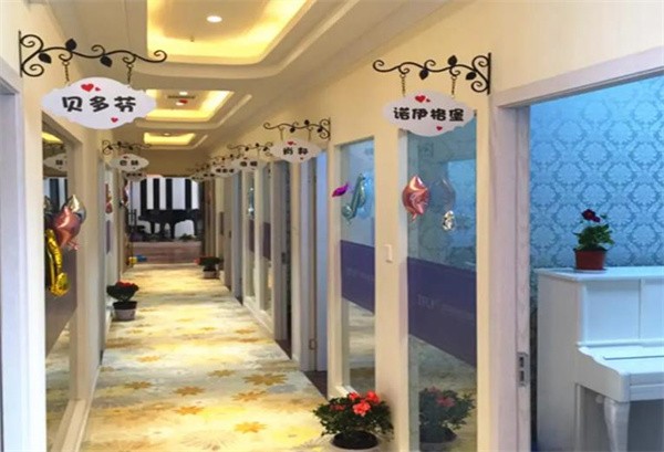 周菲新理念钢琴教育加盟费多少？