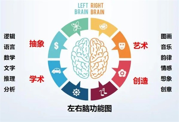 加盟引路右脑需要多少钱？