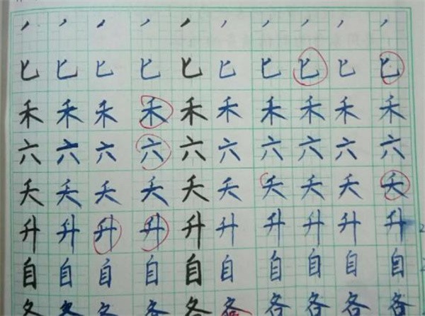 九田格练字学校加盟好吗?