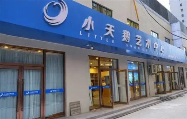 小天鹅艺术培训中心加盟费多少钱?