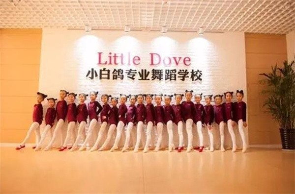 深圳小白鸽舞蹈学校加盟费多少？