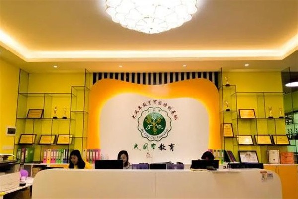 大风车艺术培训中心加盟实力怎么样？