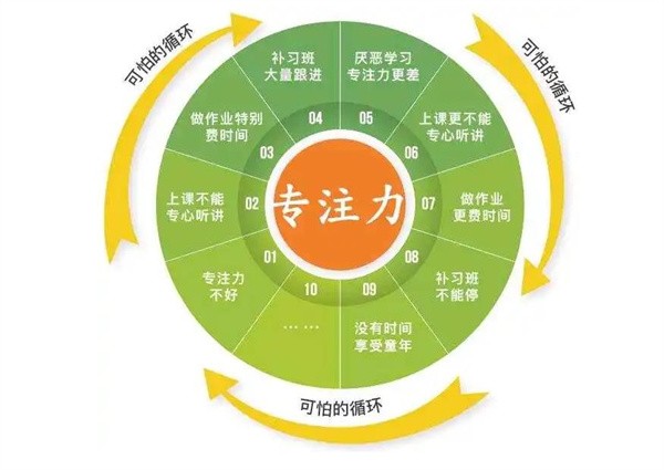 专注力加盟要多少钱？