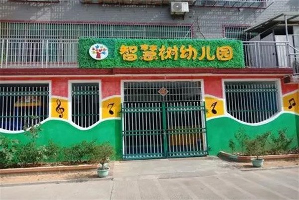 智慧树幼儿园加盟明细，有哪些要求？