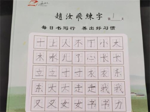 赵汝飞梯形格练字法可以加盟吗?