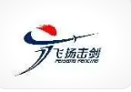 飞扬击剑