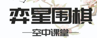 弈星围棋