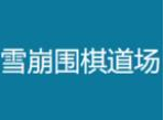 雪崩围棋道场