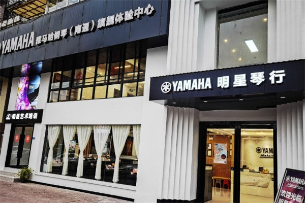 明星琴行加盟电话是多少?加盟条件是什么?