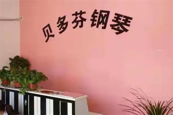 贝多芬钢琴艺术中心加盟电话怎么获取?加盟条件是什么?