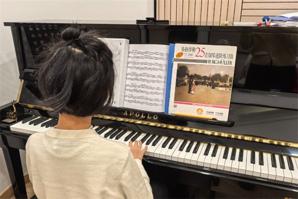乐奏音乐教育加盟多少钱?加盟具备什么条件?