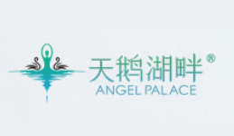  天鹅湖畔少儿舞蹈培训
