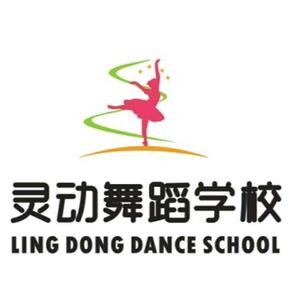 灵动舞蹈培训中心